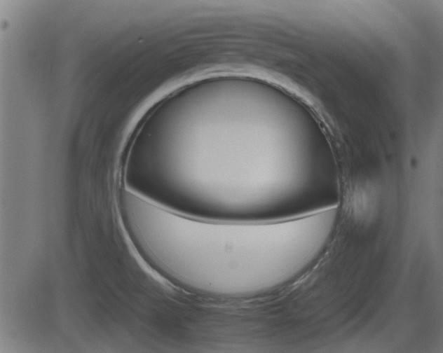 X0000081291519200701110856