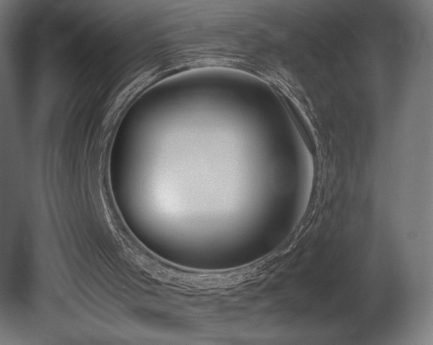 X0000081290001200701111411