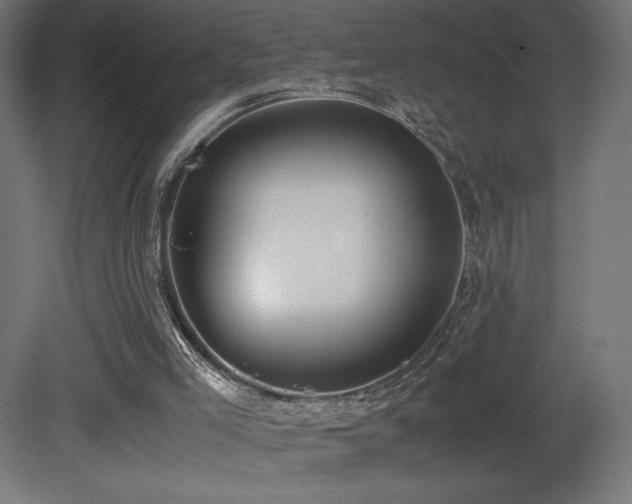 X0000081290005200701111410