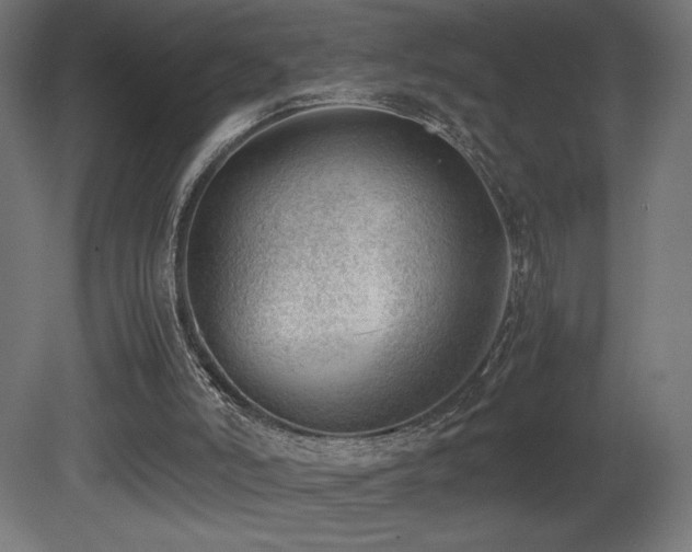 X0000081290006200701111410