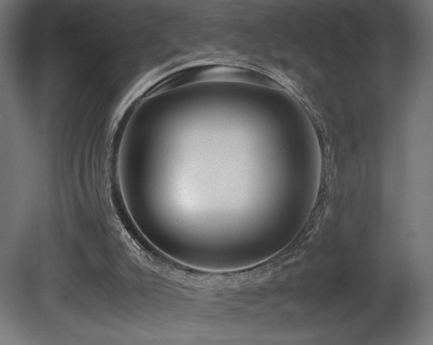 X0000081290007200701111410