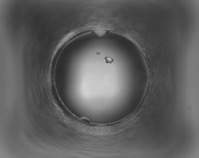 X0000081290008200701111410
