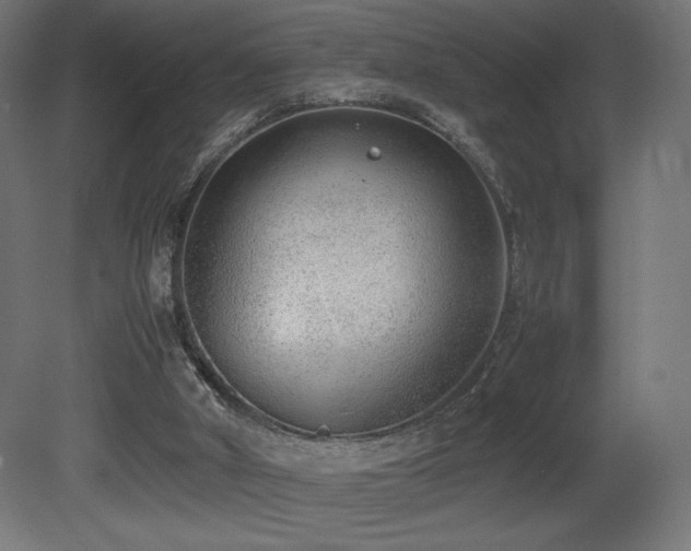 X0000081290010200701111410