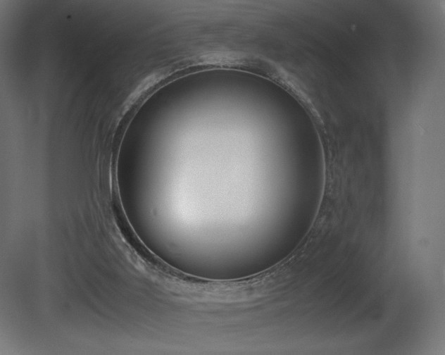 X0000081290011200701111410