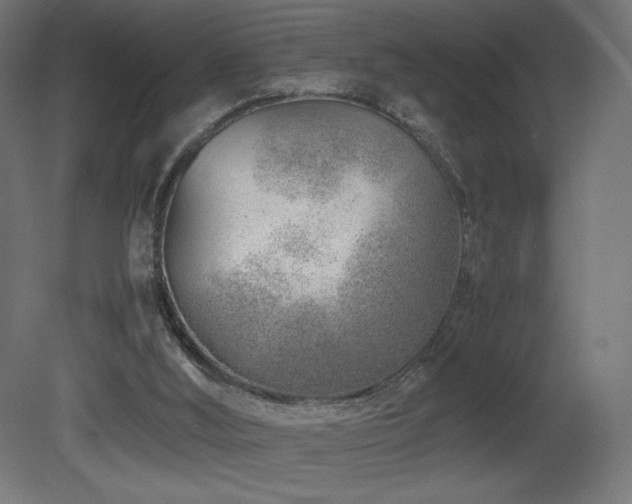 X0000081290012200701111410