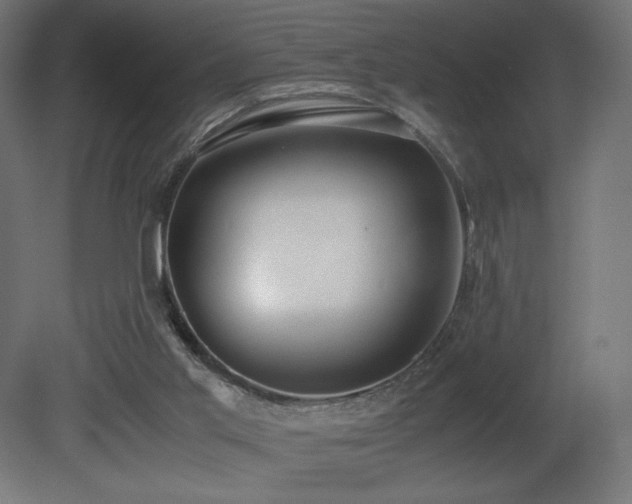 X0000081290013200701111410