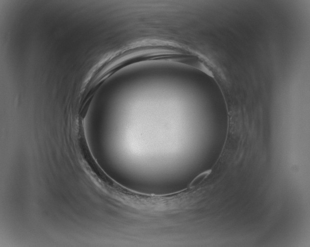 X0000081290015200701111410