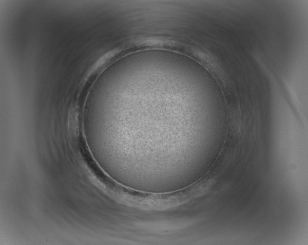 X0000081290016200701111410