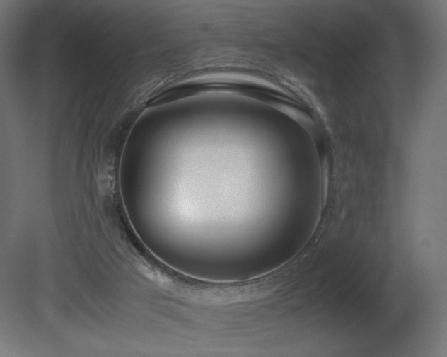 X0000081290017200701111410