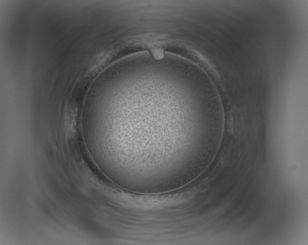 X0000081290018200701111410