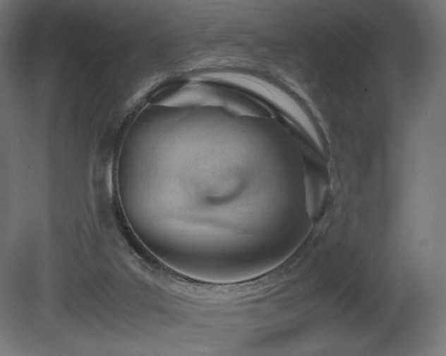 X0000081290019200701111410