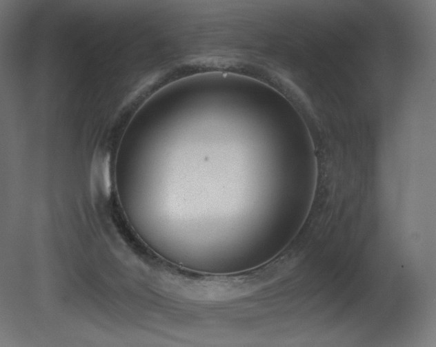 X0000081290020200701111410