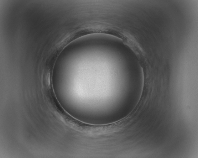 X0000081290021200701111410