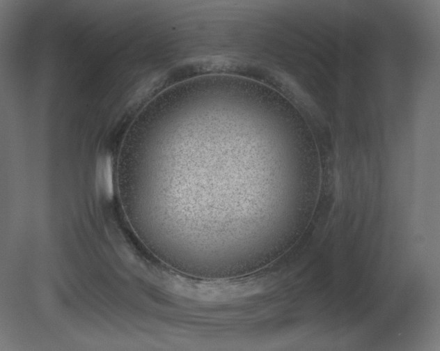 X0000081290022200701111410
