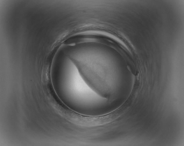 X0000081290023200701111410