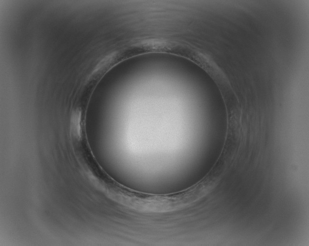 X0000081290024200701111410