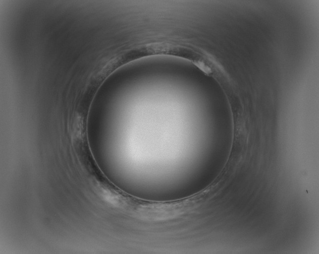 X0000081290025200701111410