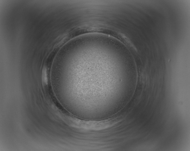 X0000081290026200701111410