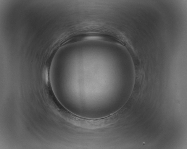 X0000081290027200701111410