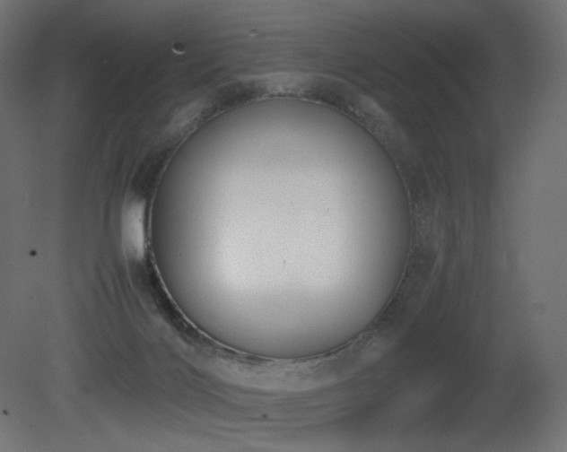 X0000081290028200701111410