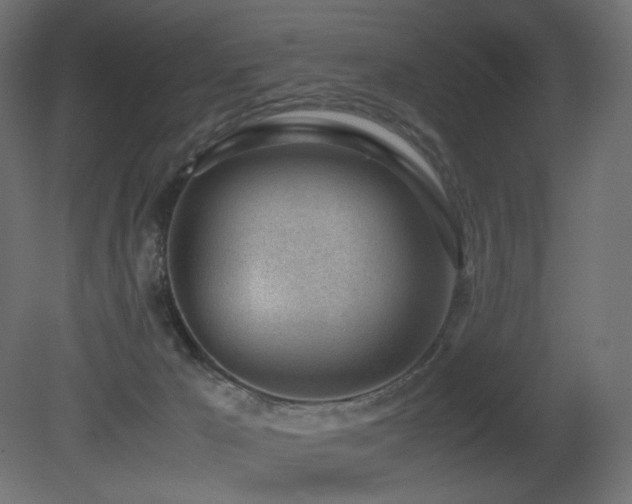 X0000081290029200701111410