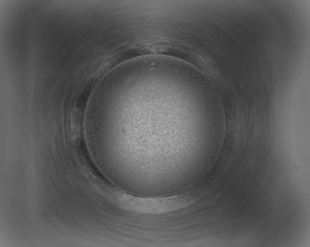 X0000081290030200701111410