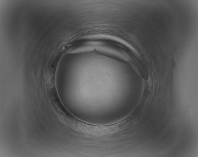 X0000081290031200701111410