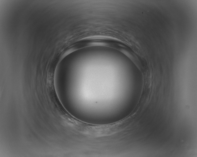 X0000081290033200701111410