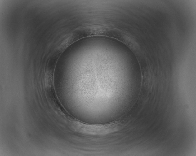 X0000081290034200701111410