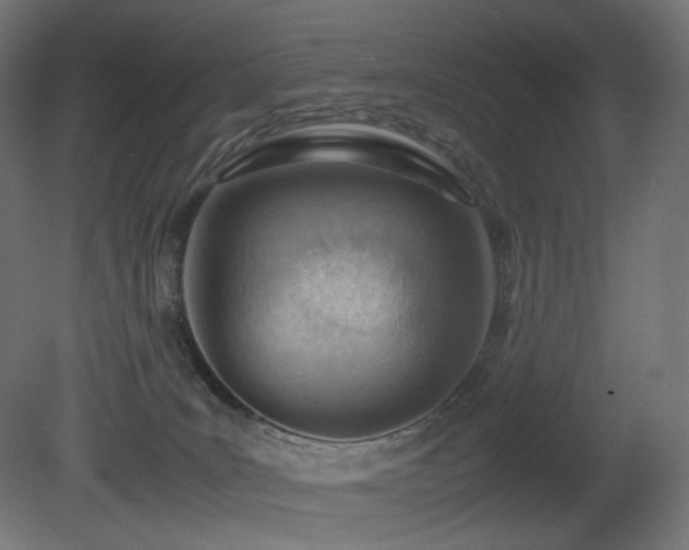 X0000081290035200701111410
