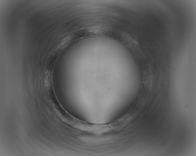 X0000081290036200701111410