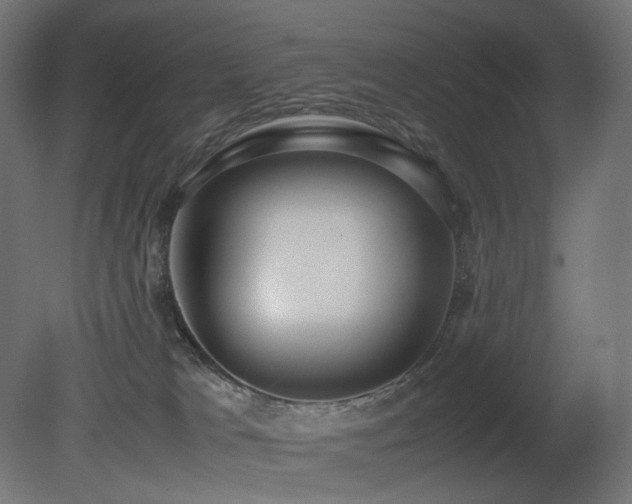 X0000081290037200701111410