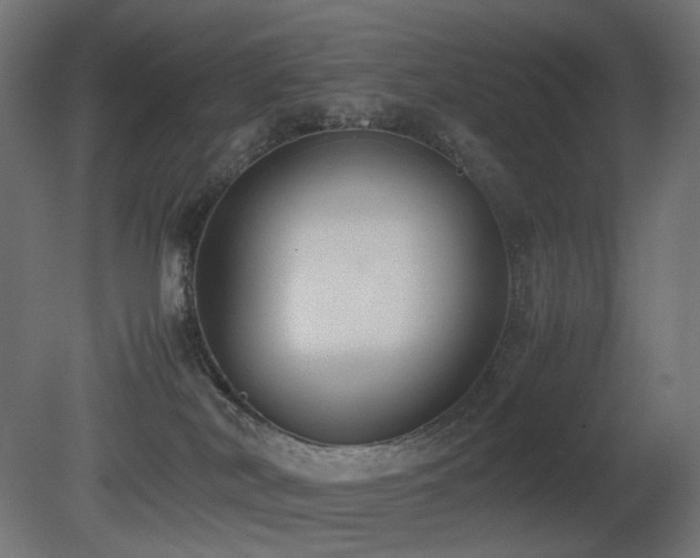 X0000081290038200701111410
