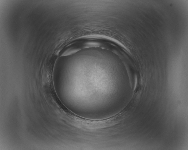 X0000081290039200701111410