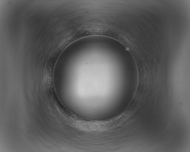 X0000081290040200701111410