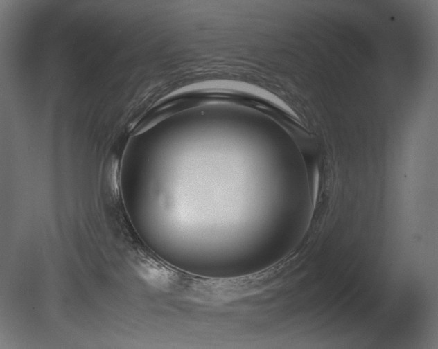 X0000081290041200701111410