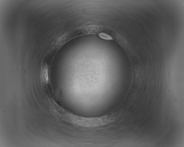 X0000081290042200701111410