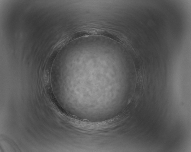 X0000081290043200701111410