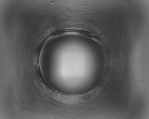 X0000081290044200701111410