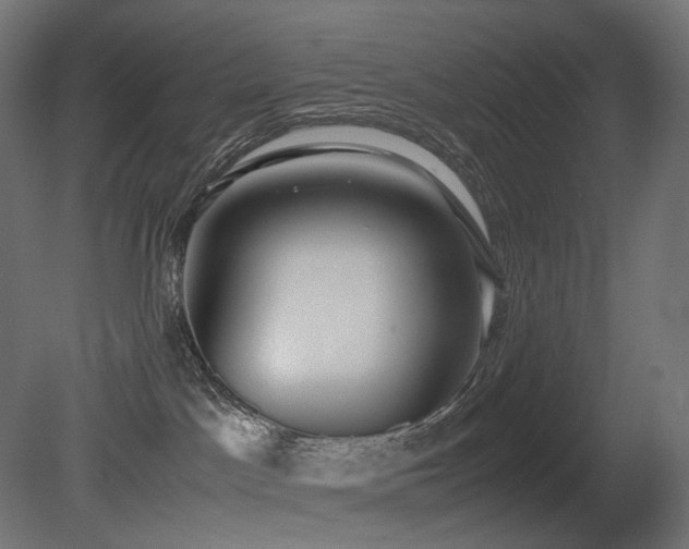 X0000081290045200701111410