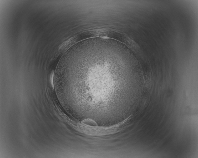 X0000081290047200701111410