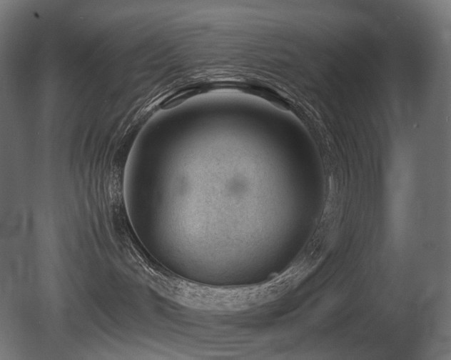 X0000081290048200701111410