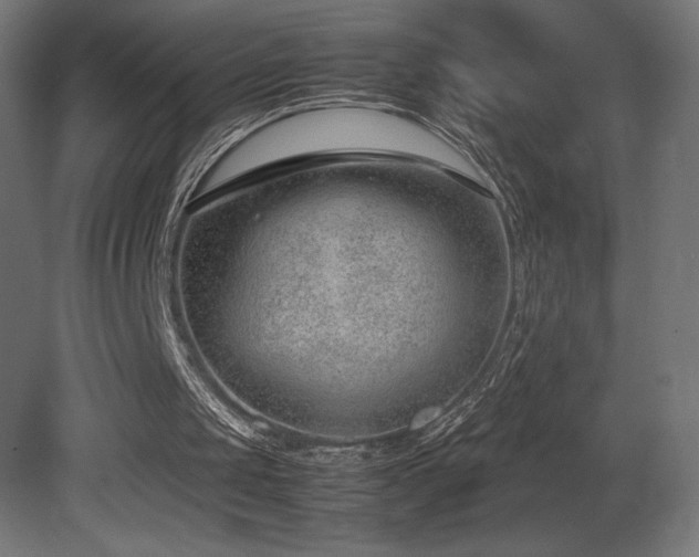 X0000081290049200701111409