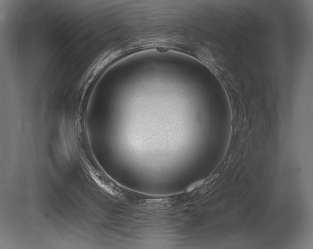 X0000081290050200701111409