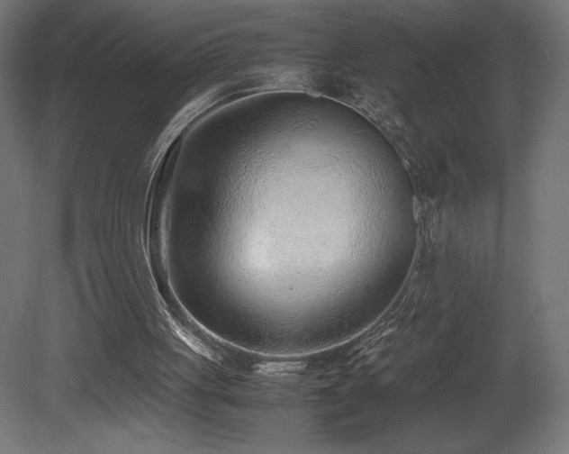 X0000081290051200701111409