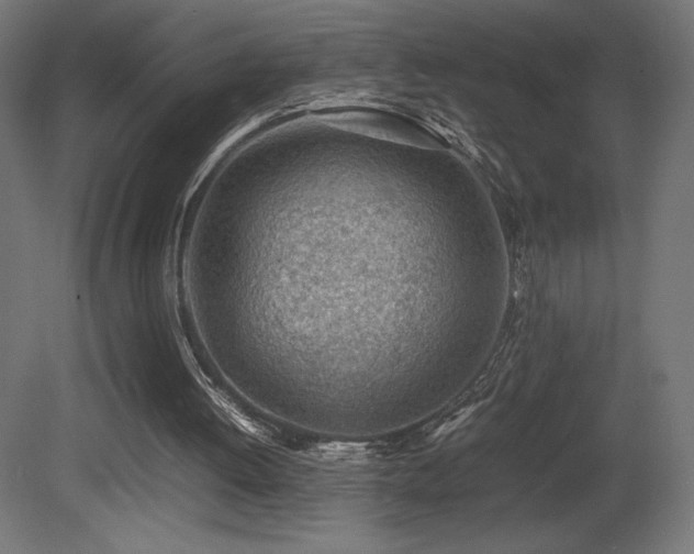X0000081290052200701111409