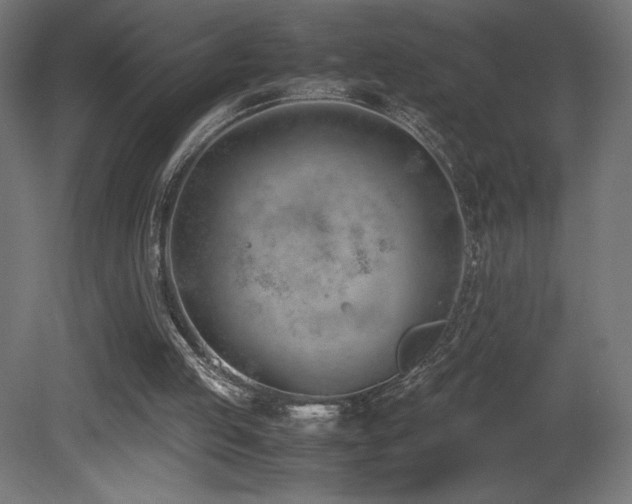X0000081290053200701111409
