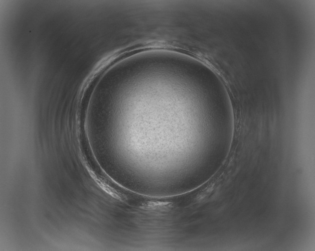 X0000081290055200701111409