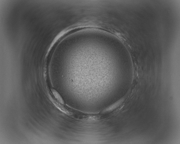 X0000081290056200701111409