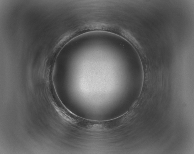 X0000081290058200701111409